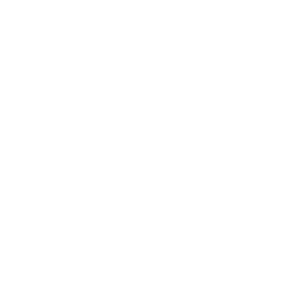 Finanzpartner Kugler, Icon